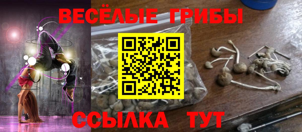 Псилоцибиновые грибы Cubensis  Вход с VPN  Октябрьский  Псилоцибиновые грибы ЛСД 